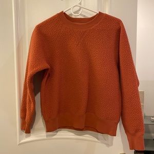 Everlane ReNew Teddy Crew